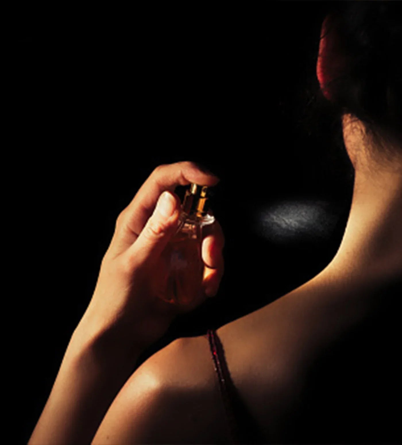 TERRES D'ARÔMES - Eau de parfum Osrah Cosmetics